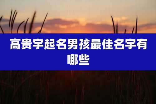 高贵字起名男孩最佳名字有哪些
