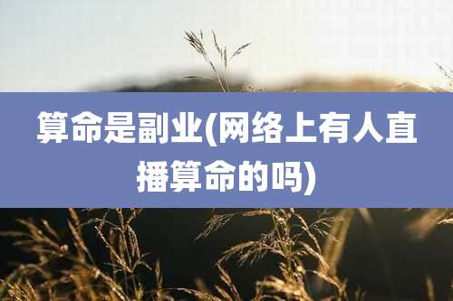 算命是副业(网络上有人直播算命的吗)