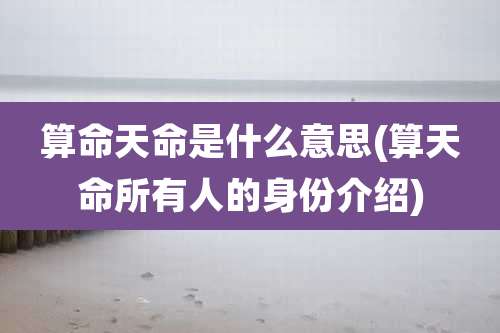 算命天命是什么意思(算天命所有人的身份介绍)