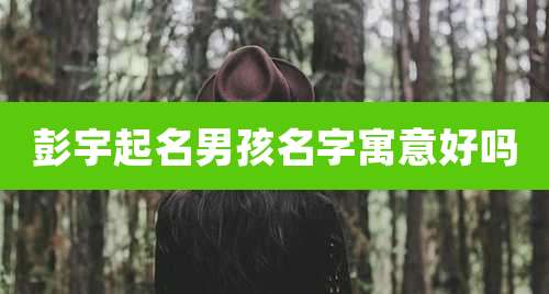彭宇起名男孩名字寓意好吗