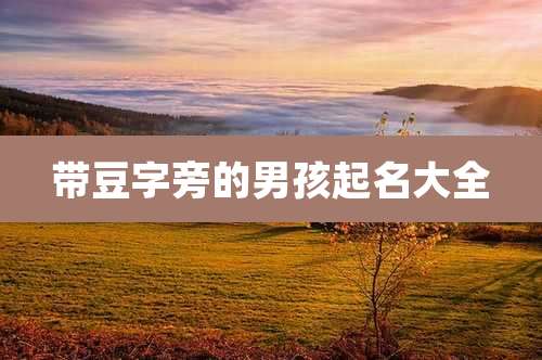 带豆字旁的男孩起名大全