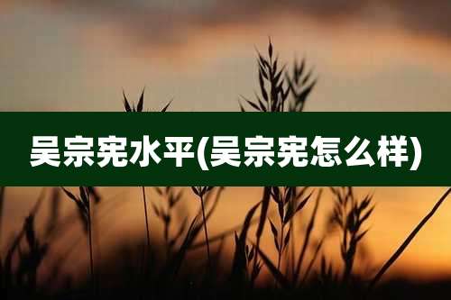 吴宗宪水平(吴宗宪怎么样)