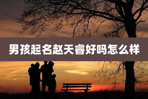 男孩起名赵天睿好吗怎么样