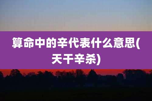 算命中的辛代表什么意思(天干辛杀)