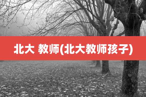 北大 教师(北大教师孩子)