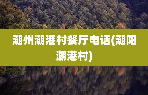 潮州潮港村餐厅电话(潮阳潮港村)