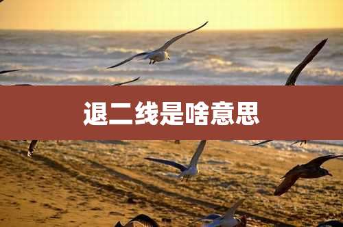 退二线是啥意思