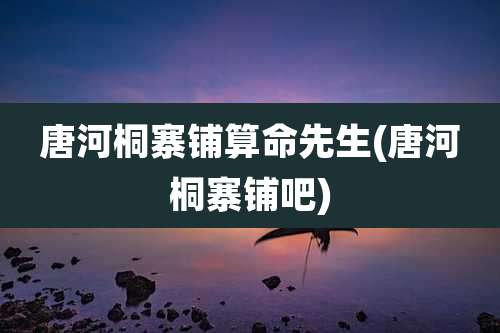 唐河桐寨铺算命先生(唐河桐寨铺吧)