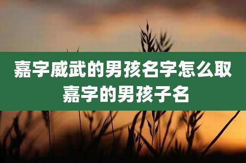 嘉字威武的男孩名字怎么取 嘉字的男孩子名
