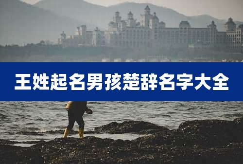 王姓起名男孩楚辞名字大全