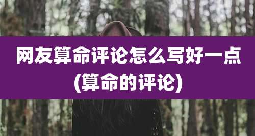 网友算命评论怎么写好一点(算命的评论)