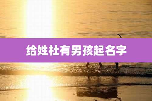 给姓杜有男孩起名字