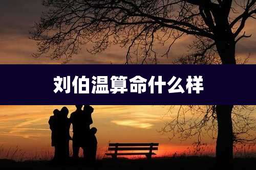 刘伯温算命什么样