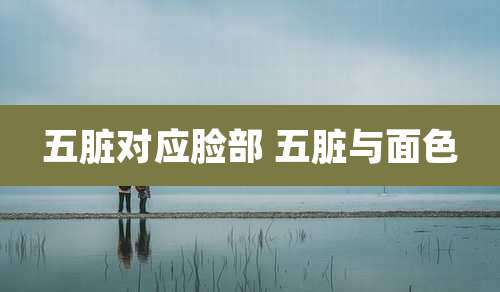 五脏对应脸部 五脏与面色
