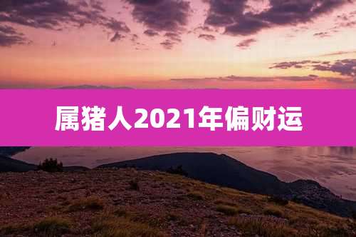 属猪人2021年偏财运