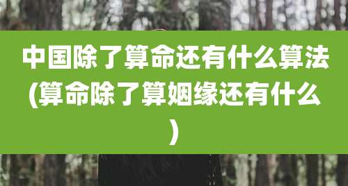 中国除了算命还有什么算法(算命除了算姻缘还有什么)