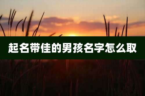 起名带佳的男孩名字怎么取