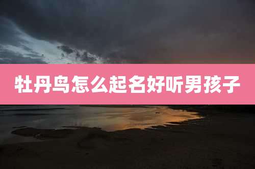 牡丹鸟怎么起名好听男孩子