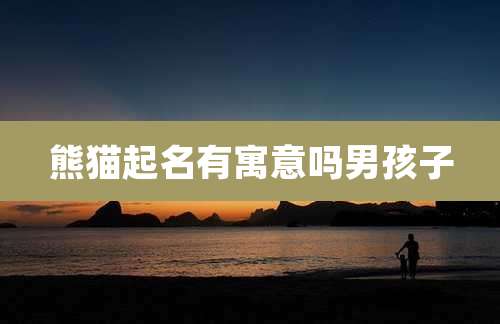 熊猫起名有寓意吗男孩子