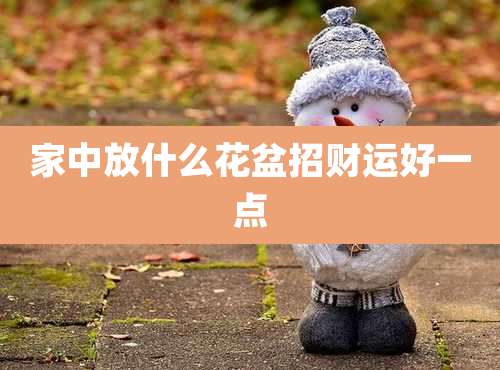 家中放什么花盆招财运好一点