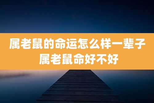 属老鼠的命运怎么样一辈子 属老鼠命好不好
