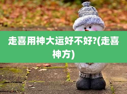 走喜用神大运好不好?(走喜神方)