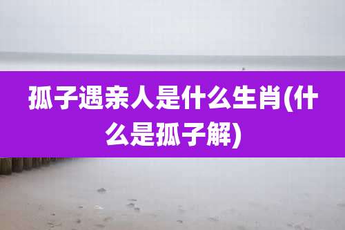 孤子遇亲人是什么生肖(什么是孤子解)