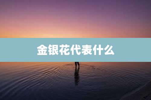 金银花代表什么