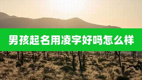 男孩起名用凌字好吗怎么样