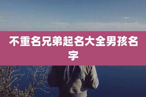 不重名兄弟起名大全男孩名字