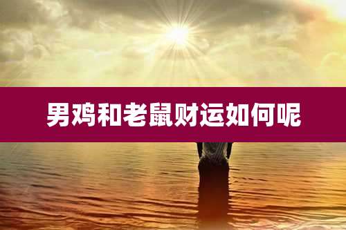男鸡和老鼠财运如何呢