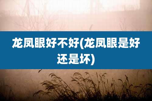 龙凤眼好不好(龙凤眼是好还是坏)