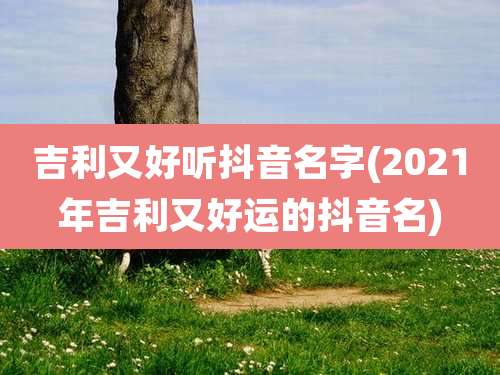 吉利又好听抖音名字(2021年吉利又好运的抖音名)