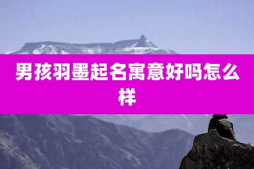 男孩羽墨起名寓意好吗怎么样