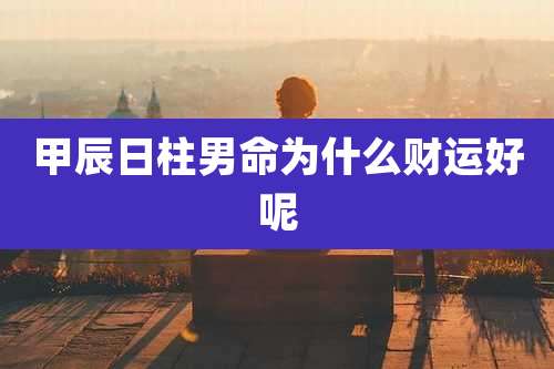 甲辰日柱男命为什么财运好呢