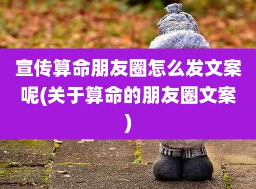 宣传算命朋友圈怎么发文案呢(关于算命的朋友圈文案)