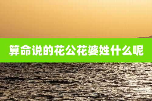 算命说的花公花婆姓什么呢