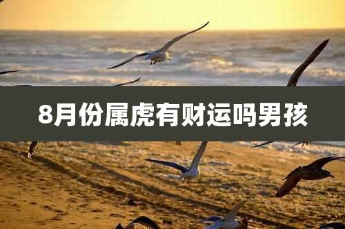 8月份属虎有财运吗男孩