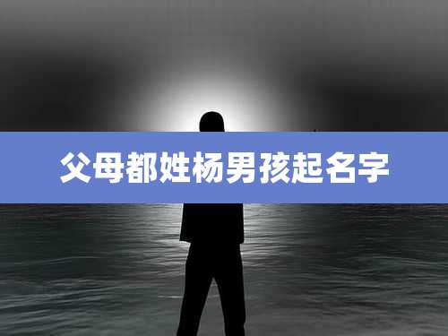 父母都姓杨男孩起名字