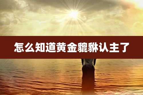 怎么知道黄金貔貅认主了
