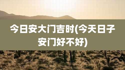 今日安大门吉时(今天日子安门好不好)