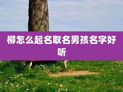 柳怎么起名取名男孩名字好听