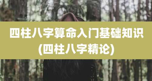 四柱八字算命入门基础知识(四柱八字精论)