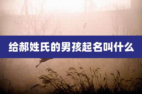 给郝姓氏的男孩起名叫什么