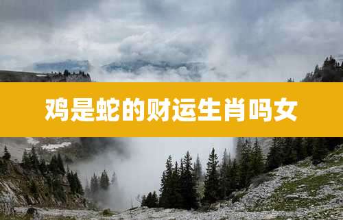 鸡是蛇的财运生肖吗女