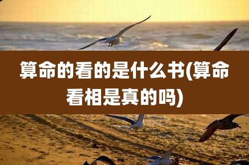 算命的看的是什么书(算命看相是真的吗)