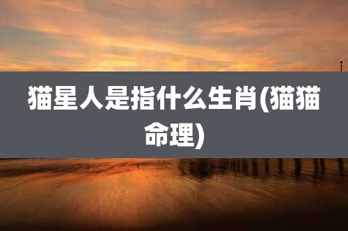 猫星人是指什么生肖(猫猫命理)
