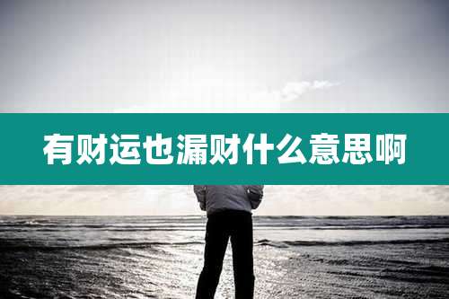 有财运也漏财什么意思啊