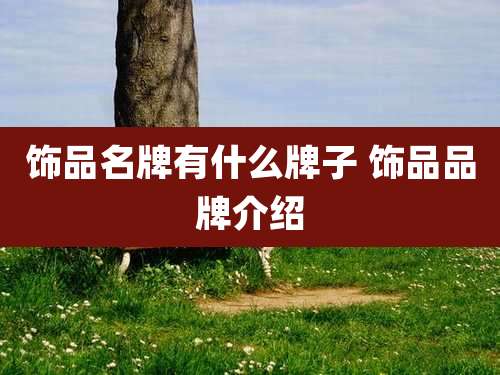 饰品名牌有什么牌子 饰品品牌介绍