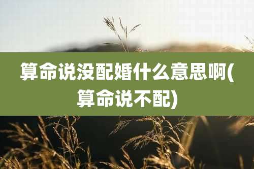 算命说没配婚什么意思啊(算命说不配)